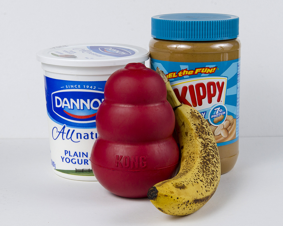 DIY KONG Filling for Dogs: Peanut Butter, Banana, and Coconut Oil -  PetHelpful