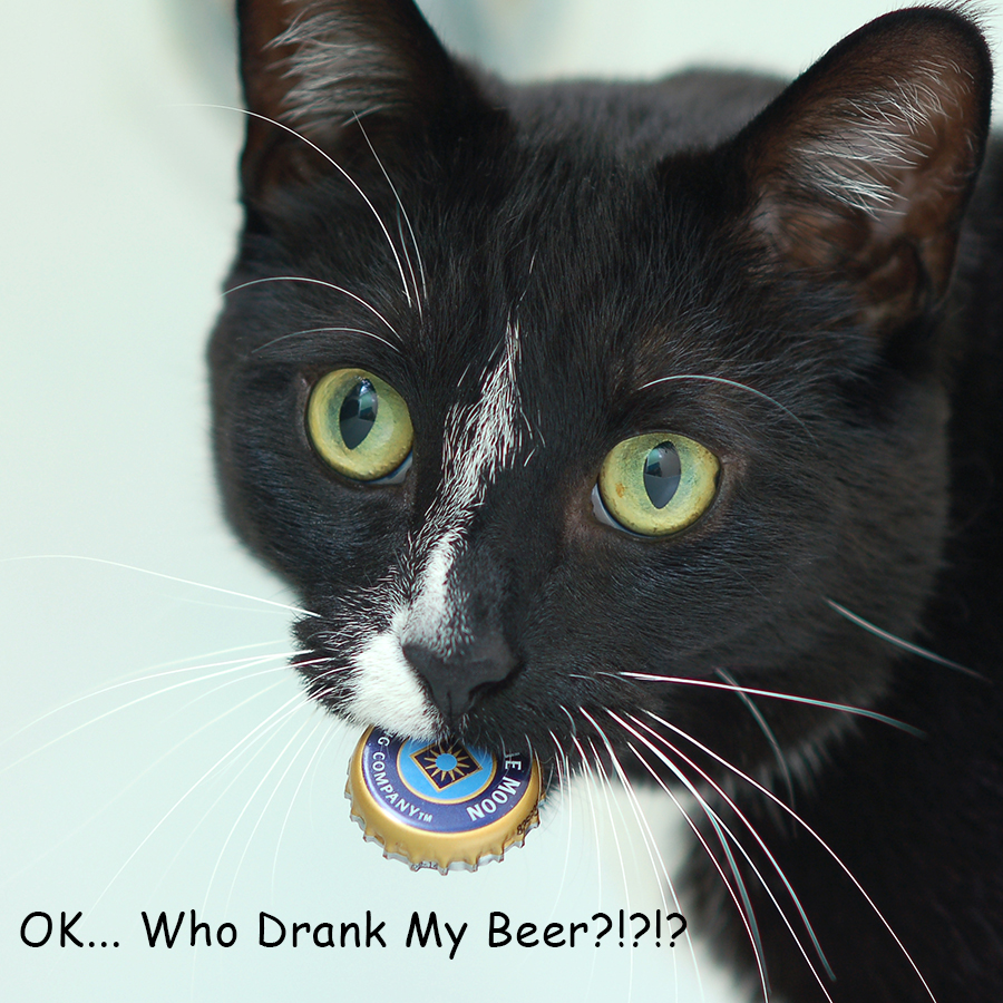 12_07_george_bottlecap_captioned