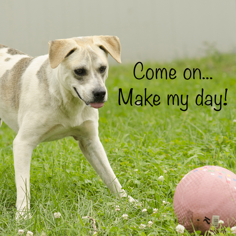 12_10_caezar_with_ball_captioned