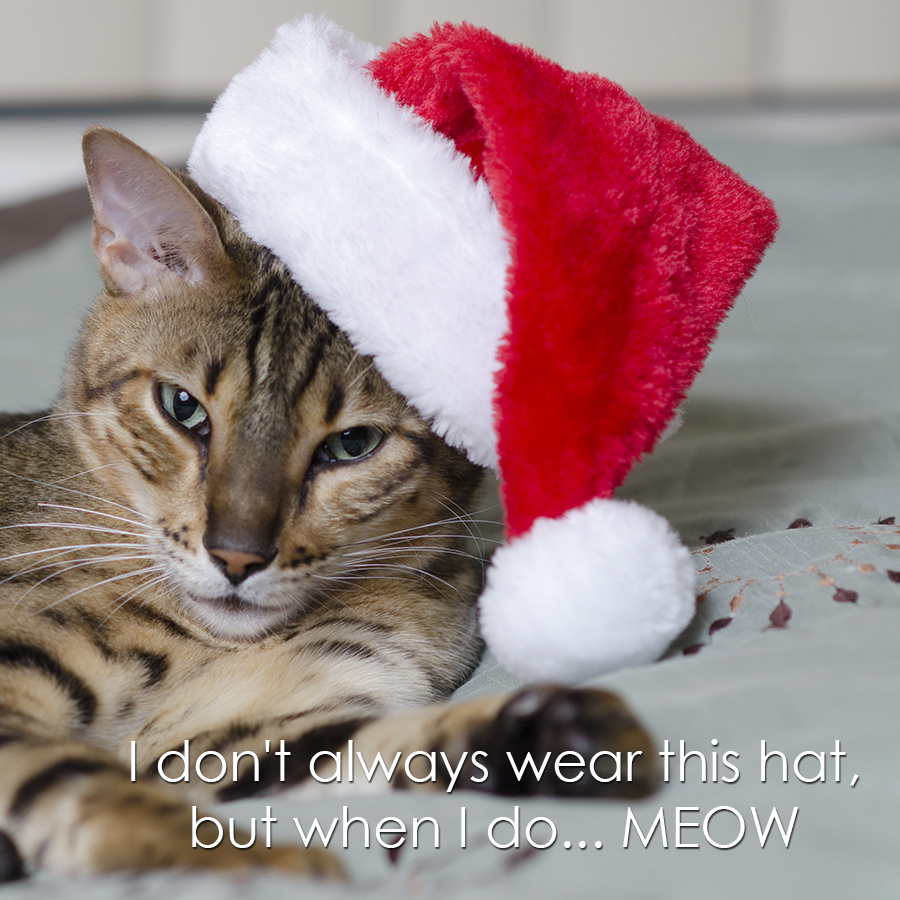 12_12_santa_rajah_captioned