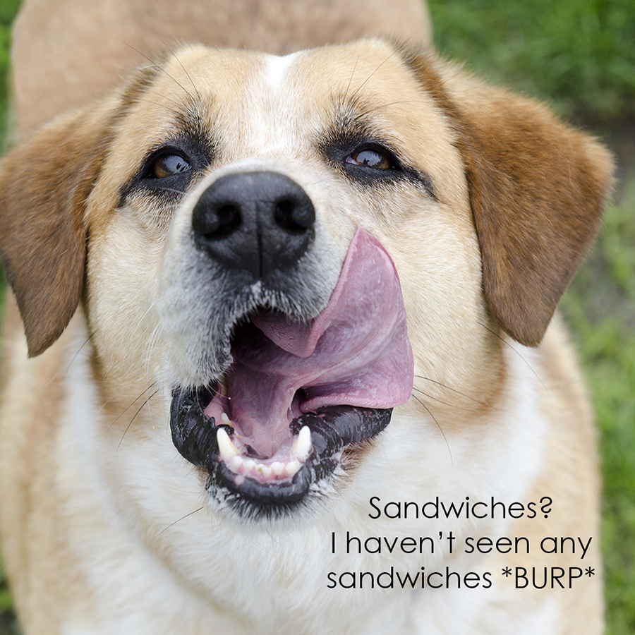 13_07_riley_smacks_lips_captioned