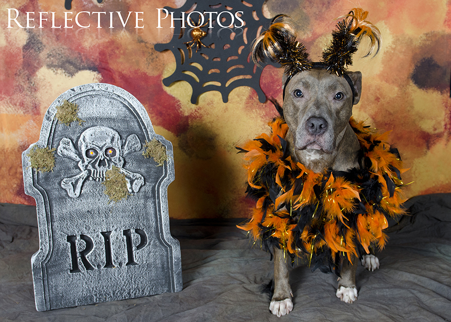 017_5x7_gracie_halloween_13_10_07