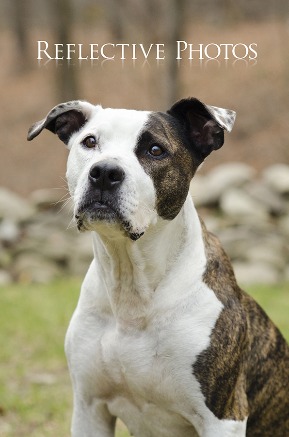 Lexi's portrait