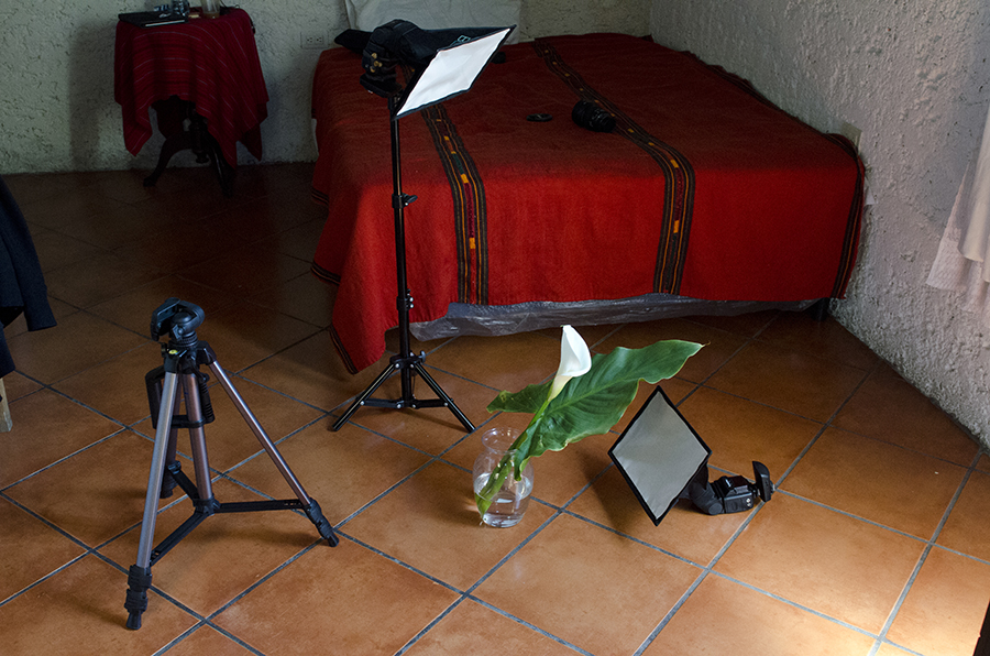 14_05_02_blog_BTS_calla_lily_n_textures_14_02_23-26b