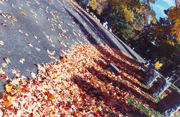 autumn graveyard accident_sm