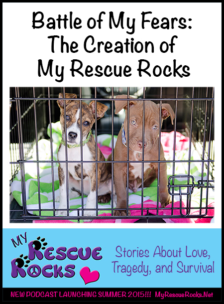 15_05_24_battle_of_my_fears_the_creation_of_my_rescue_rocks_sm_d