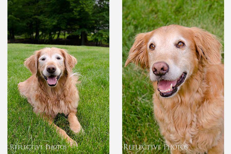 Left: Lexie Right: Maddie These two girls are sisters, twins, as Fred called them.