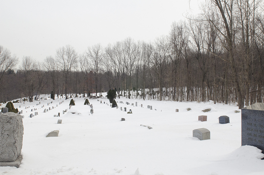 0280_15_02_16-15_15_02_22_frost_n_snow_scenes
