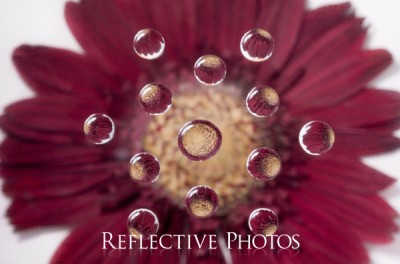 Reflections of an Artist: Fine Art Photography with a Splash of Prose – Introduction