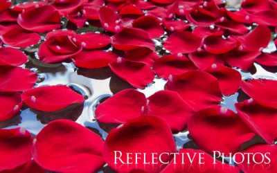 Reflections of an Artist: Fine Art Photography with a Splash of Prose (3) – A Pool of Petals