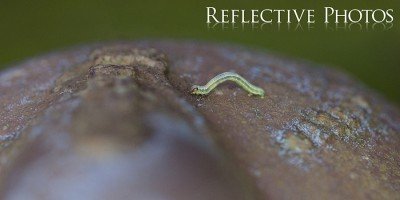 Inching Over the Hump