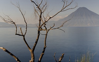 Reflections of an Artist: Fine Art Photography with a Splash of Prose (7) – Dead Tree. Tranquilly, Lake Atitlan