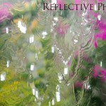 Drowning the Garden
