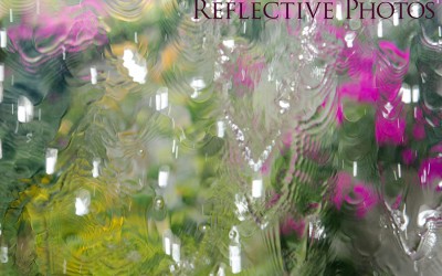 Reflections of an Artist: Fine Art Photography with a Splash of Prose (10) – Drowning the Garden