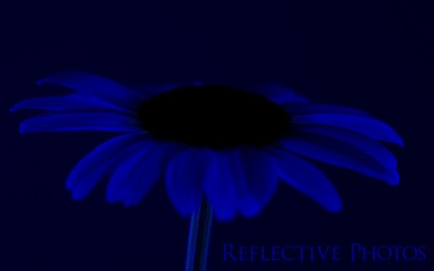 Reflections of an Artist: Fine Art Photography with a Splash of Prose (28) – Blue