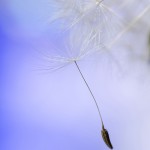Holding onto Hope
