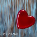 Steady Heart