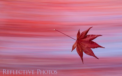 Reflections of an Artist: Fine Art Photography with a Splash of Prose (45) – Hope This Warms You Up