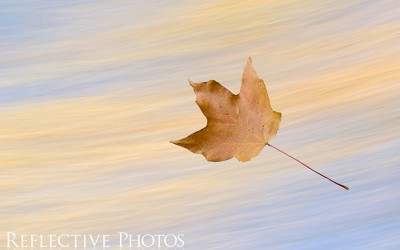 Reflections of an Artist: Fine Art Photography with a Splash of Prose (43) – The Life of a Hermit – Ah-hem – I Mean Artist
