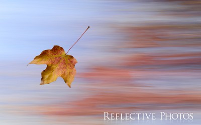 Reflections of an Artist: Fine Art Photography with a Splash of Prose (44) – The Perfect Storm