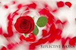 Love Spell