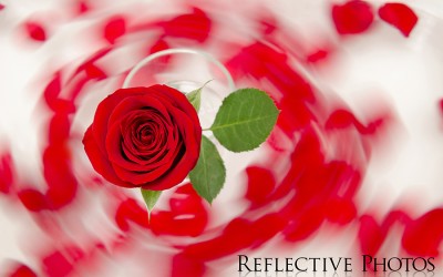Reflections of an Artist: Fine Art Photography with a Splash of Prose (46) – Casting a Spell