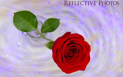Reflections of an Artist: Fine Art Photography with a Splash of Prose (48) – Meditating in a Tornado