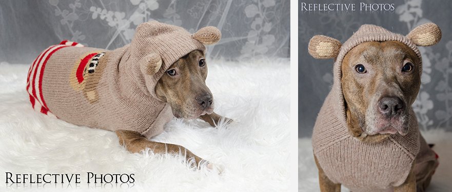 Gracie Lou AKA Moo being extra cute in the monkey suit her Aunt Jen bought her.