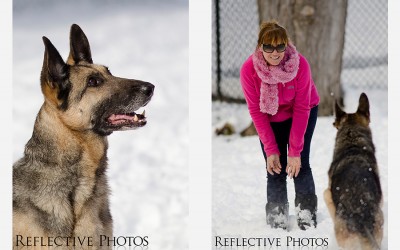 A Sneak Peek of A Pack of Rescued Pups: Dog Photography in Wallkill NY