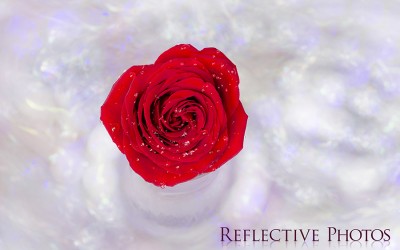 Reflections of an Artist: Fine Art Photography with a Splash of Prose (52) – Happy Blogiversary to Me!