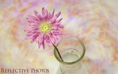 Reflections of an Artist: Fine Art Photography with a Splash of Prose (56) – Painting with Motion