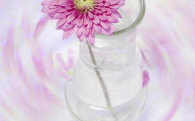 Reflections of an Artist: Fine Art Photography with a Splash of Prose (53) – Down the Drain