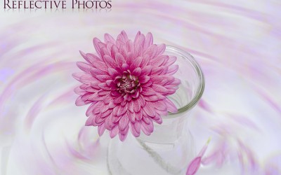 Reflections of an Artist: Fine Art Photography with a Splash of Prose (54) – Embrace the Chaos
