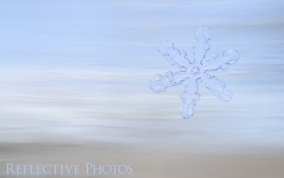 Reflections of an Artist: Fine Art Photography with a Splash of Prose (64) – Life’s a Beach