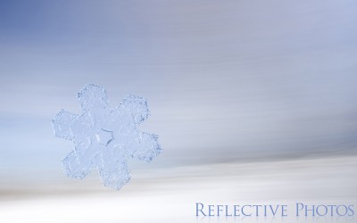 Reflections of an Artist: Fine Art Photography with a Splash of Prose (62) – Six