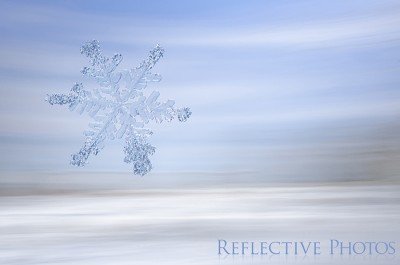 Crystalline to Crusty