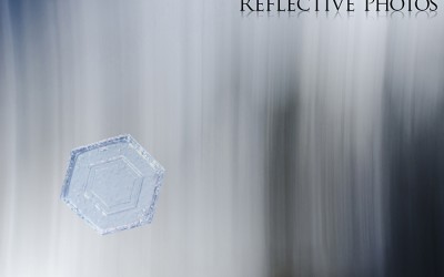 Reflections of an Artist: Fine Art Photography with a Splash of Prose (60) – Simplicity