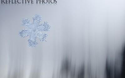 Reflections of an Artist: Fine Art Photography with a Splash of Prose (59) – Persistence Pays Off