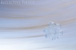 Swept Away Snowflake