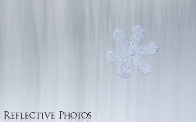 Reflections of an Artist: Fine Art Photography with a Splash of Prose (58) – A Glimmer of Hope